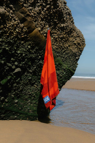 Vases Beach Towel 100x180